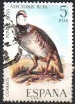 Stamps Spain -  PERDIZ  DE  PATAS  ROJAS