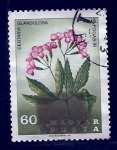 Stamps Hungary -  Dentaria Glandulosa