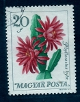 Stamps Hungary -  Phyllocactus
