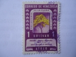 Sellos de America - Venezuela -  Areguaney, Árbol Nacional de Venezuela,.