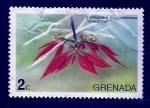 Stamps : America : Grenada :  Poisettia