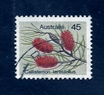 Stamps : Oceania : Australia :  Flor