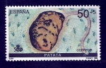 Stamps Spain -  Patata