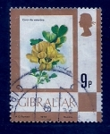 Stamps : Europe : Gibraltar :  Flor