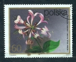 Stamps Poland -  Flor