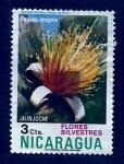 Stamps Nicaragua -  Flores Silvestres