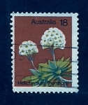 Stamps Australia -  Flor