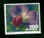 Stamps Switzerland -  Flor