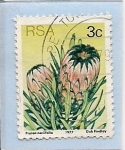 Stamps South Africa -  plantas