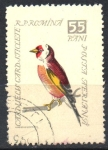 Stamps Romania -  JILGUERO