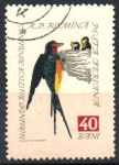 Stamps Romania -  GOLONDRINA  GRANERO