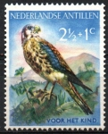 Stamps Netherlands Antilles -  AVES,  CERNICALO  AMERICANO.
