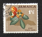 Sellos de America - Jamaica -  Frutas Nacionales