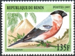 Stamps Benin -  PYRRHULA  PYRRHULA