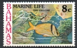Stamps : America : Bahamas :  PEZ  CERDO
