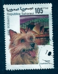Stamps Morocco -  Australiano