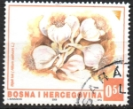 Stamps Bosnia Herzegovina -  AJOS