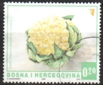 Sellos de Europa - Bosnia Herzegovina -  COLIFLOR