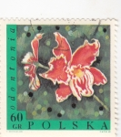 Sellos de Europa - Polonia -  FLORES- ODONTORIO