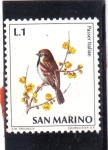 Stamps San Marino -  AVE- PASSER ITALIAE