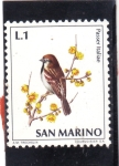 Sellos de Europa - San Marino -  AVE- PASSER ITALIAE