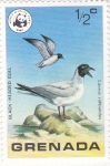 Stamps : America : Grenada :  AVES-