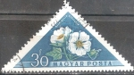 Stamps Hungary -  Flores.Hibisco ruso (Kitaibelia vitifolia).