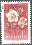 Sellos de Europa - Hungr�a -  Flores.Hellebore (Helleborus purpurascens).