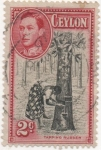Stamps : Asia : Sri_Lanka :  Ceylan_UK Y & T Nº 252