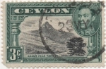 Stamps : Asia : Sri_Lanka :  Ceylan_UK Y & T Nº 253