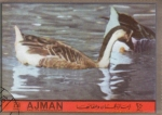 Sellos de Asia - Emiratos rabes Unidos -  AVE- PATOS