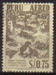 Stamps : America : Peru :  PERU 1953 Scott C116 Sello Aéreo Aves Cormoranes Peruanos