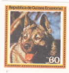 Stamps Equatorial Guinea -  PERRO- ELKHOUND