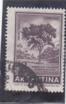 Stamps Argentina -  RIQUEZA FORESTAL