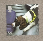 Stamps United Kingdom -  Razas Perros