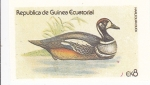 Stamps Equatorial Guinea -  AVE- PATO
