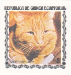 Sellos de Africa - Guinea Ecuatorial -  GATO