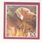 Stamps Equatorial Guinea -  PERRO DE RAZA- WEINMAKANER