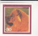 Stamps Equatorial Guinea -  PERRO DE RAZA- CHOW