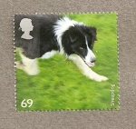 Stamps United Kingdom -  Razas Perros