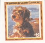 Stamps Equatorial Guinea -  PERRO DE RAZA- DACHUND