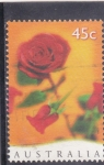 Stamps Australia -  FLORES- ROSA