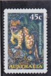 Stamps Australia -  GATO TIGRE