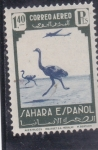 Stamps Morocco -  AVESTRUCES-SAHARA