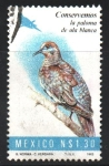 Stamps Mexico -  CONSERVEMOS  LA  PALOMA  DE  ALA  BLANCA