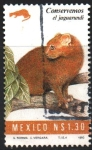 Stamps Mexico -  CONSERVEMOS  EL  JAGUARUNDI