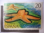 Stamps Spain -  Ed:2534 - Estrella de Mar. Esteroidea.