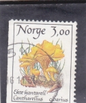 Stamps Norway -  SETAS
