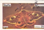 Stamps : Europe : United_Kingdom :  MARIPOSA