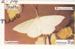 Stamps United Kingdom -  MARIPOSA